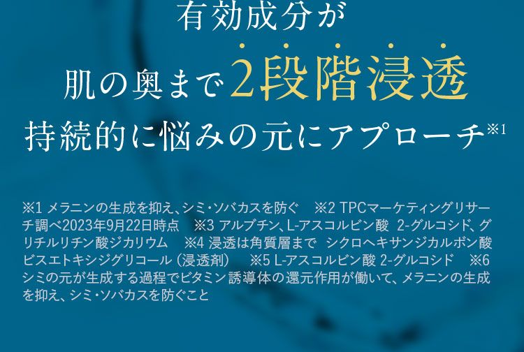 肌の奥まで2段階浸透持続的に悩みの元にアプローチ