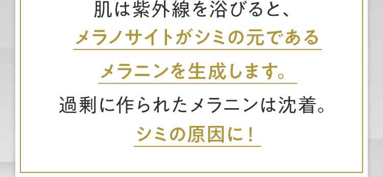 肌は紫外線を浴びると、メラノサイトがシミの元であるメラニンを生成します。過剰に作られたメラニンは沈着。シミの原因に！